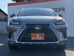 LEXUS NX300