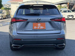 LEXUS NX300