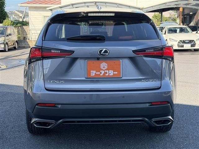 LEXUS NX300