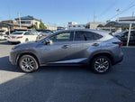 LEXUS NX300