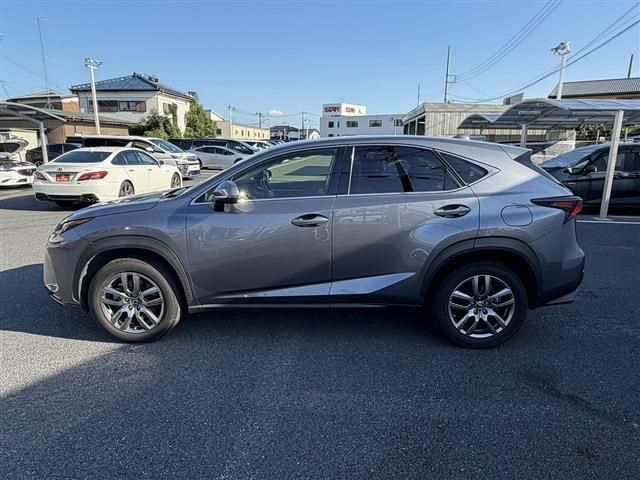 LEXUS NX300