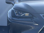 LEXUS NX300