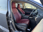 LEXUS NX300