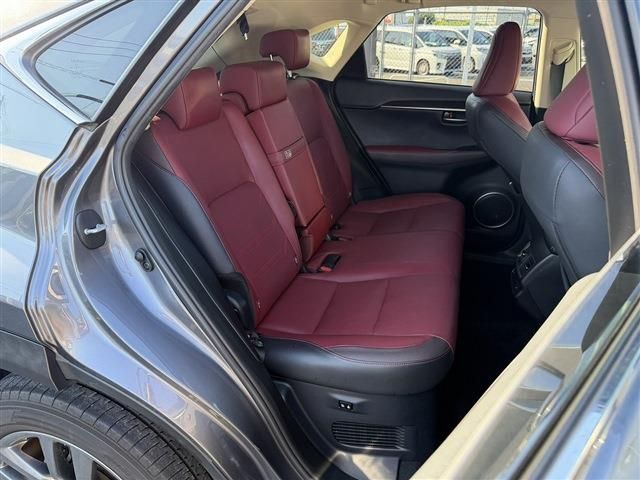 LEXUS NX300