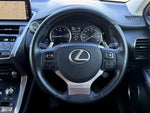 LEXUS NX300