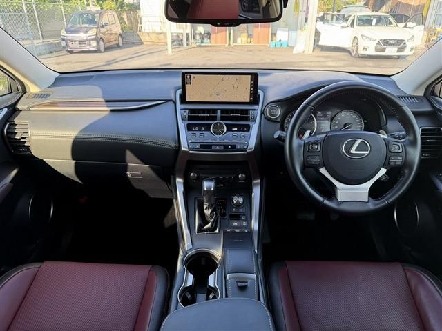 LEXUS NX300