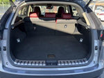 LEXUS NX300