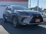 LEXUS NX300