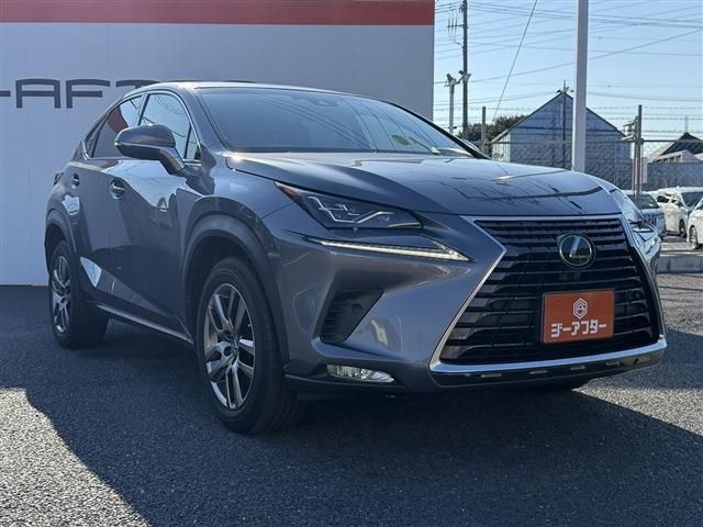 LEXUS NX300