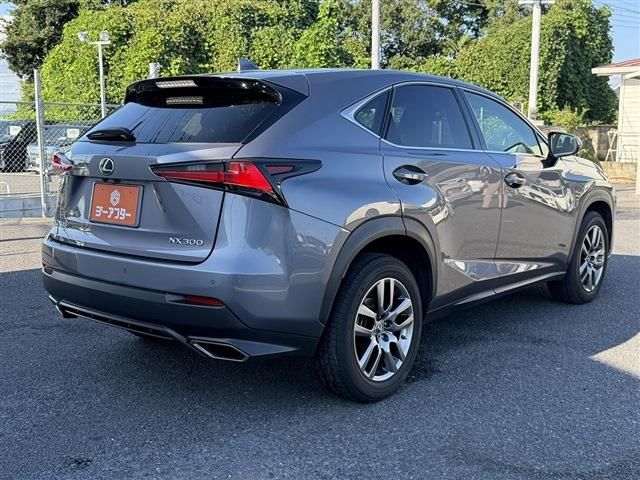 LEXUS NX300