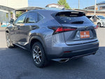 LEXUS NX300