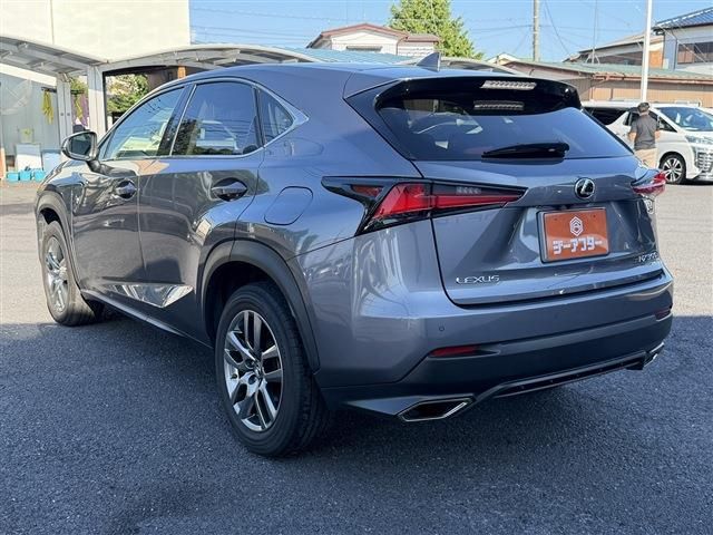 LEXUS NX300