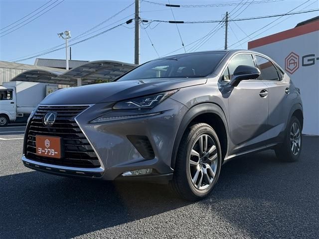 LEXUS NX300