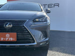 LEXUS NX300