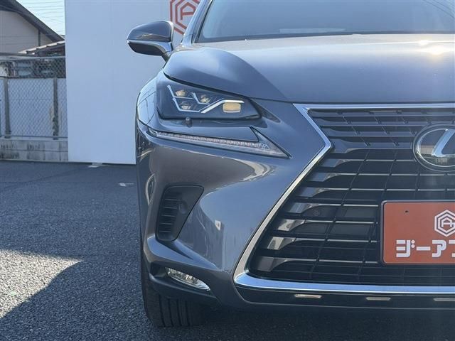 LEXUS NX300