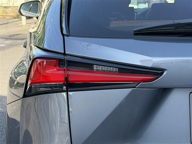 LEXUS NX300