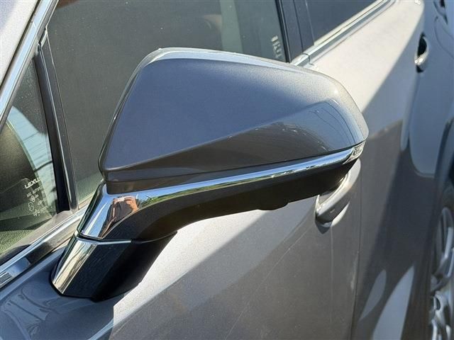 LEXUS NX300
