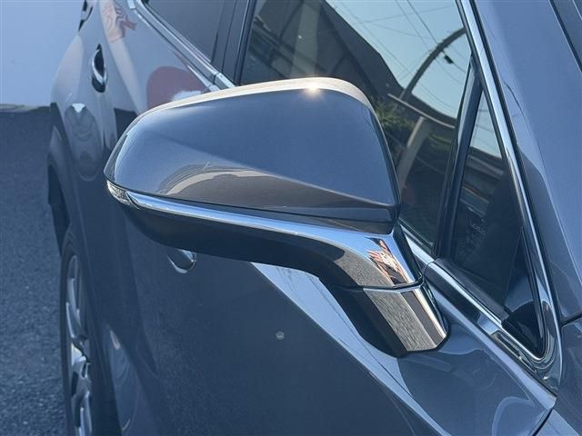 LEXUS NX300