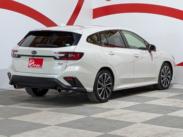 LEVORG