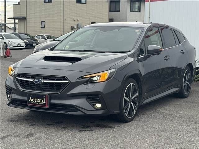 LEVORG