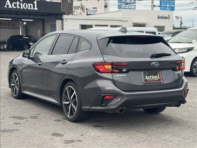 LEVORG
