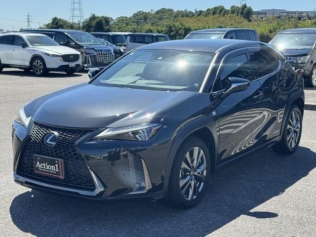LEXUS UX250h