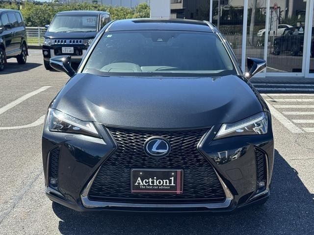 LEXUS UX250h