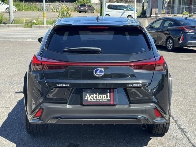 LEXUS UX250h