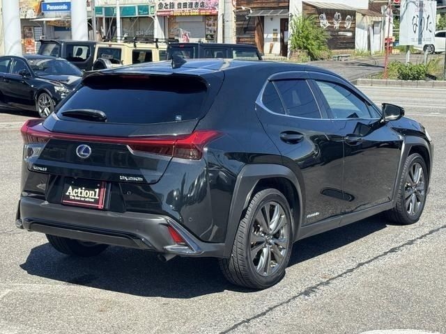 LEXUS UX250h