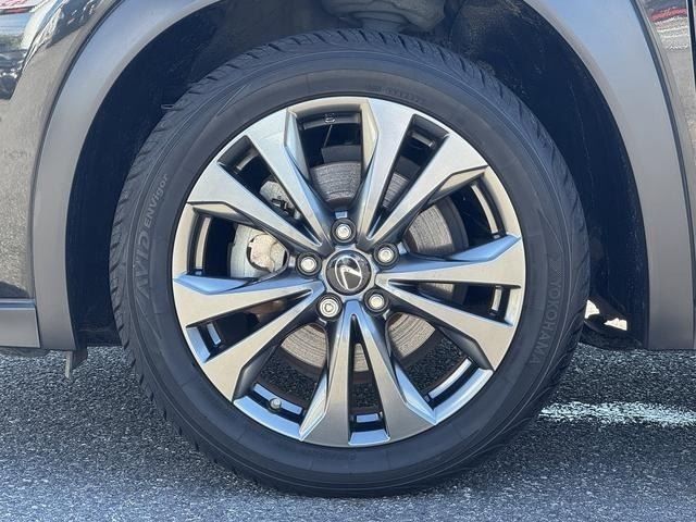 LEXUS UX250h