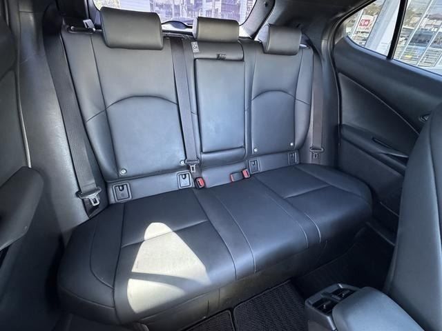 LEXUS UX250h