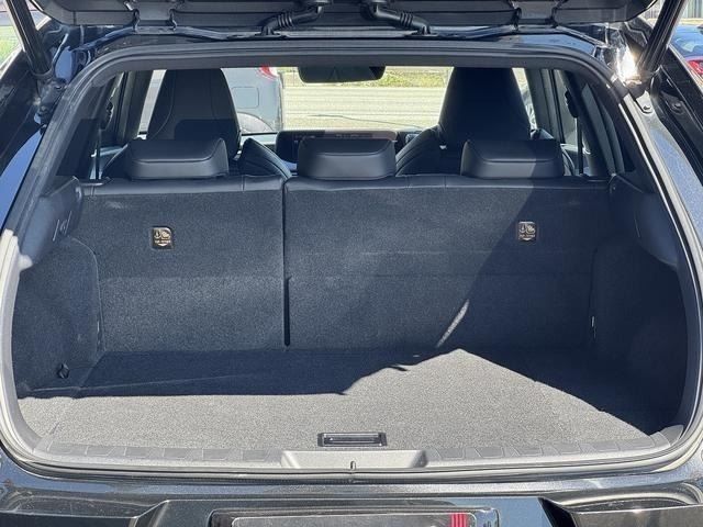 LEXUS UX250h