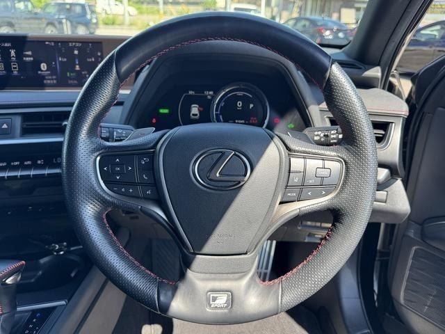 LEXUS UX250h