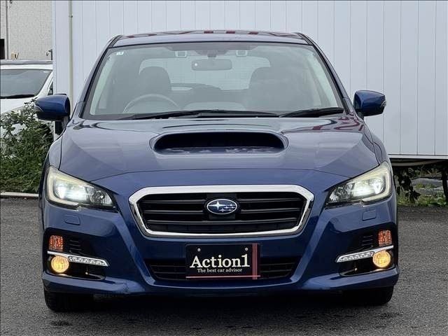 LEVORG