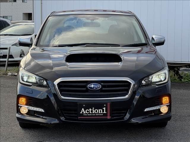 LEVORG