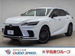 LEXUS RX500h