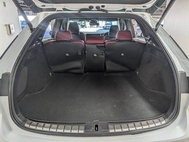 LEXUS RX500h