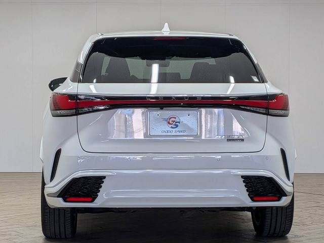 LEXUS RX500h