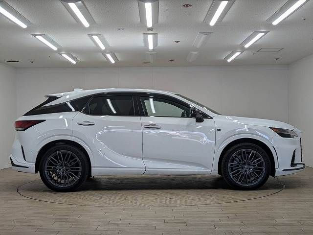 LEXUS RX500h
