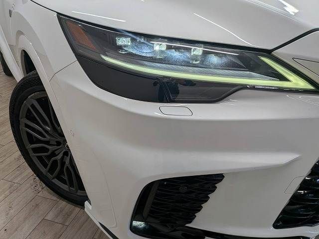 LEXUS RX500h