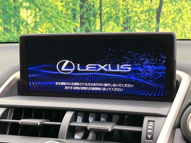 LEXUS NX300 AWD