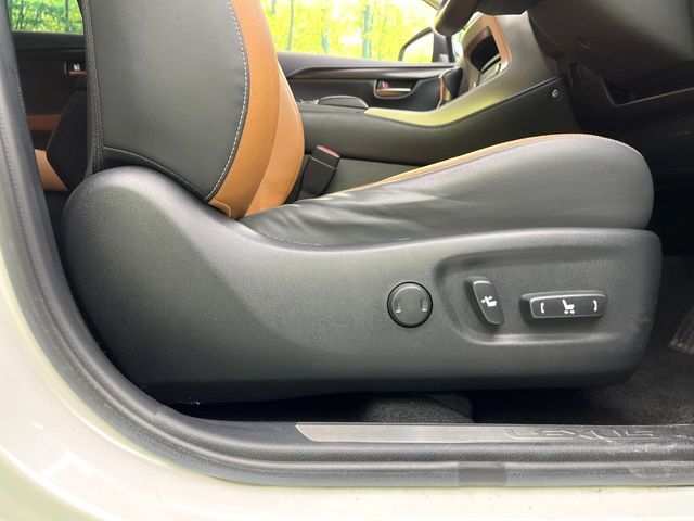 LEXUS NX300 AWD
