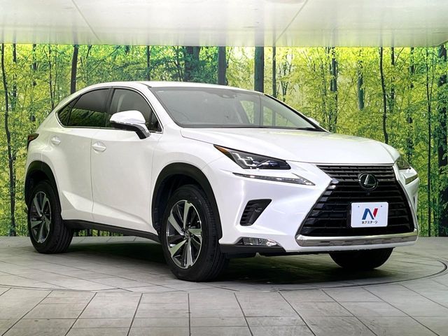 LEXUS NX300 AWD