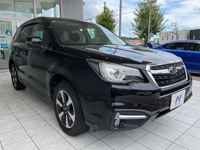 FORESTER