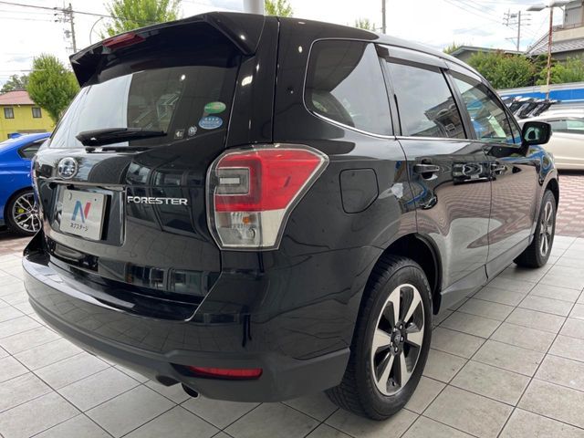FORESTER