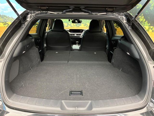 LEXUS UX200