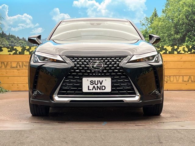 LEXUS UX200
