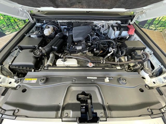 LANDCRUISER 250