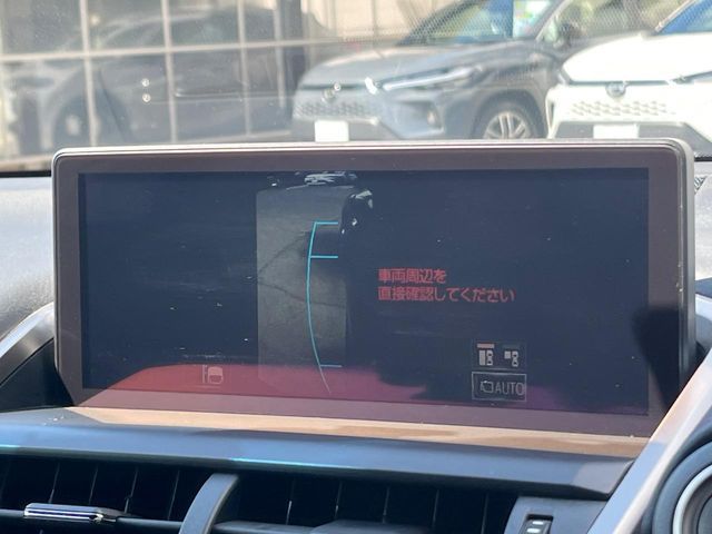 LEXUS NX300