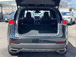 LEXUS NX300